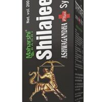 Maharshibadri Shilajeet Ashwagandha Plus Syrup